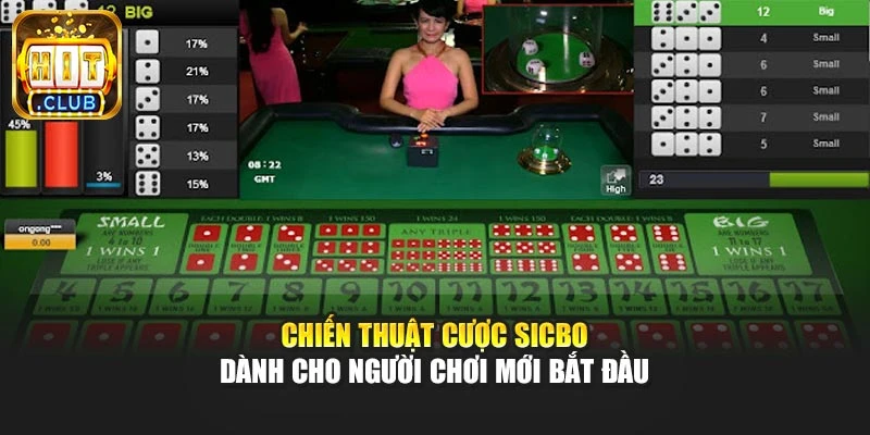 Chiến thuật cược Sicbo dành cho người chơi mới bắt đầu