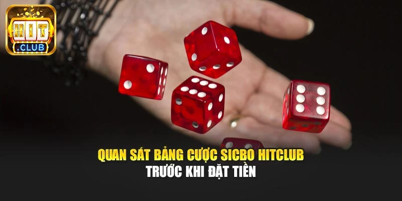 Quan sát bảng cược Sicbo Hitclub trước khi đặt tiền