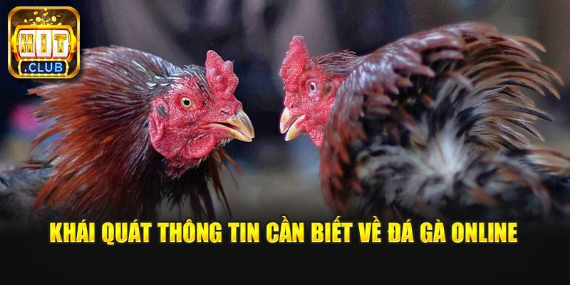 Khái quát thông tin cần biết về đá gà online